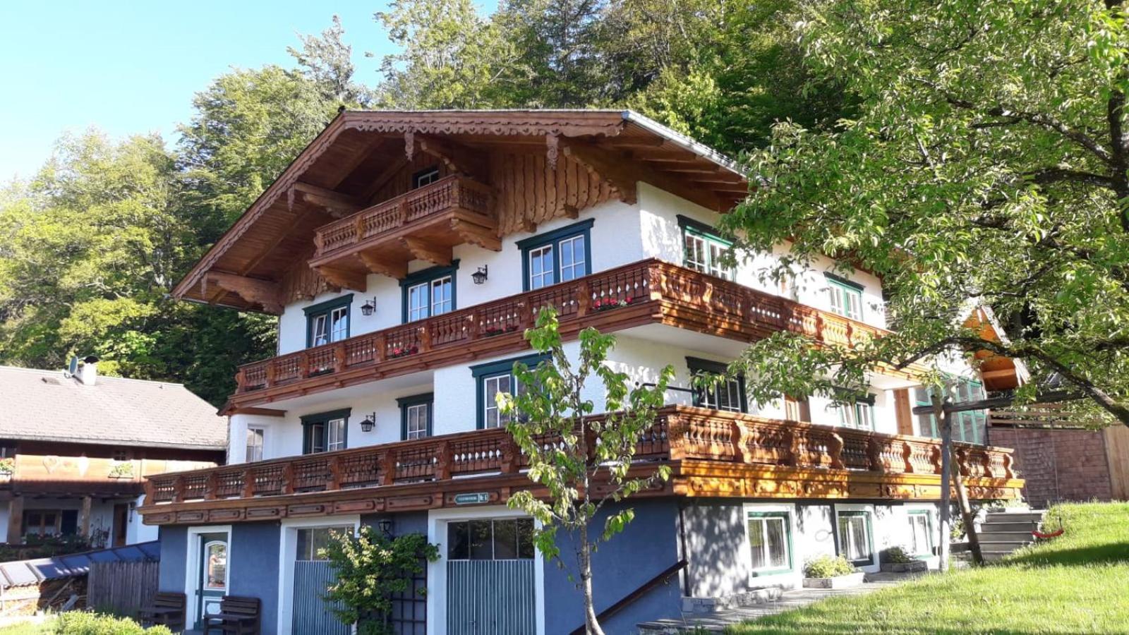 Ferienwohnung Appesbacher Saint Wolfgang エクステリア 写真